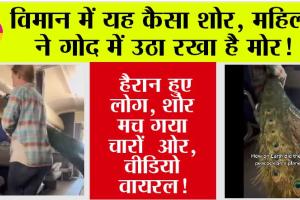 Video Viral: विमान में यह कैसा शोर, महिला ने गोद में उठा रखा है मोर! हैरान हुए लोग, शोर मच गया चारों ओर, वीडियो वायरल!