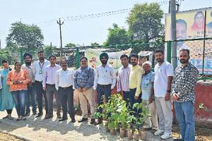 बठिंडा में पंजाब नेशनल बैंक ने किया पौधारोपण