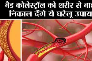 Control Bad Cholesterol: बैड कोलेस्ट्रॉल को शरीर से बाहर निकाल देंगे ये घरेलू उपाय
