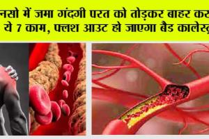 Herbs for Bad Cholesterol: नसो में जमा गंदगी परत को तोड़कर बाहर कर देंगे ये 7 काम फ्लश आउट हो जाएगा बैड कालेस्ट्रॉल