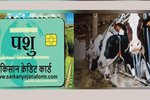 पशुपालक किसान क्रेडिट कार्ड योजना का लाभ उठाएं: डीसी