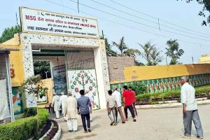 MSG Bhandara: बरनावा में भंडारा 5 नवंबर को, साध-संगत में जबरदस्त उत्साह