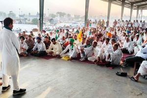 किसानों ने किन्नू मंडी में लगाया धरना, आढ़ती व व्यापारी मार्केट कमेटी के बाहर डटे