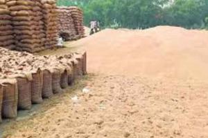 खरीफ सीजन के तहत जिला में की जा चुकी 67 हजार 441 मिट्रिक टन धान की खरीद