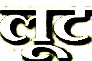 Robbery: पिस्तौल के बल पर पैट्रोल पंप पर लूट