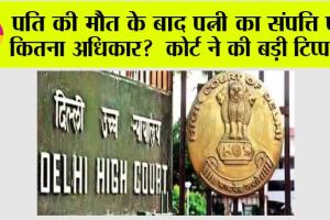 DelhI High Court: जब पति की मौत हो जाती है तो क्या उसकी संपत्ति पर पत्नी का अधिकार है? दिल्ली हाईकोर्ट के फैसले से समझें
