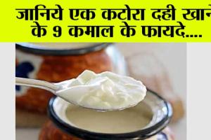 Benefits Of Eating Curd: एक कटोरी दहीं खाने से मिल सकते हैं ये 9 गजब के फायदे