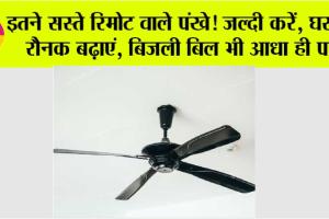 Ceiling Fan: इतने सस्ते रिमोट वाले पंखे! जल्दी करें, घर की रौनक बढ़ाएं, बिजली बिल भी आधा ही पाएं