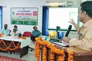 In Cotton Pink Bollworm Control: बीटी कपास में गुलाबी सुंडी से हैं परेशान तो जानें ये समाधान!