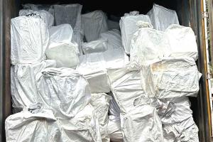 Big Action by Punjab STF: अंतरराज्यीय नशा तस्कर गिरोह के 7 सौदागर गिरफ्तार