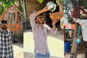 पक्षी जीर्णोद्धार के लिए ऐलनाबाद की साध-संगत ने दिखाई इंसानियत