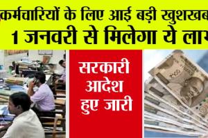 Government Employees News: सरकारी कर्मचारियों को शानदार तोहफा, खुशखबरी का आदेश जारी