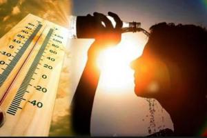 Summer Tips : मानवीय त्वचा में है सूरज की तपिश से बचने की क्षमता