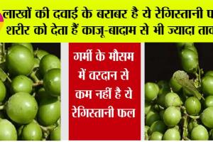 Shocking News: गर्मी के मौसम में वरदान से कम नहीं है ये रेगिस्तानी फल, शरीर को देता हैं काजू-बादाम से भी ज्यादा ताकत, वजन कम करने के साथ-साथ दूर होती हैं काफी बीमारी