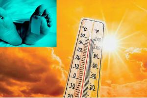 गर्मी का कहर: बठिंडा में चार की मौत, दो बेहोश