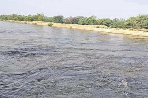 नहर से सड़ी-गली हालत में तैरता मिला शव!