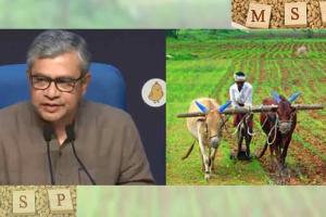 MSP: 14 फसलों का एमएसपी मंजूर, किसानों के हित में केंद्र सरकार ने लिया फैसला