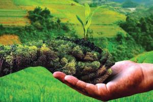 Organic Farming : प्रकृति संतुलन का आधार- जैविक खेती