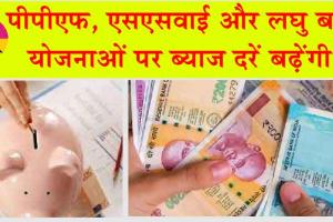 Interest Rates on PPF, SSY to increase : मोदी 3.0 सरकार पीपीएफ, एसएसवाई और छोटी बचत योजनाओं पर बढ़ाएगी ब्याज दरें?