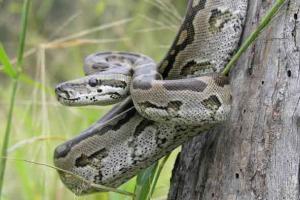 Trending News: अचानक पत्नी हो गई लापता, ढूंढने पर पति को मिली तो उसका दिल दहल गया!