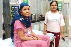 अबोहर में आवारा कुत्तों का आंतक, सात लोगों को काटा