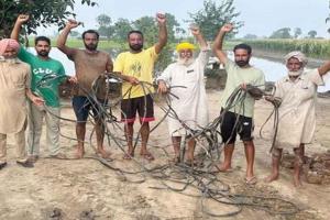 खेतों से केबल व स्टार्टर चोरी होने पर भड़के किसान