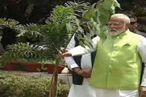 यादव की ‘एक पेड़ मां के नाम’ अभियान तहत की गयी पहल देशभर के लिए मिसाल: मोदी