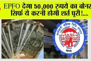 EPFO: इस नियम से अब भी अनजान है EPF खाताधारक, इस तरह मिलता है 50 हजार का फायदा, पढ़ेंं पूरी डिटेल
