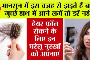 Hair Fall in Monsoon: मानसून में अक्सर बढ़ जाती हैं हेयर फॉल की समस्या, छूटकारा पाने के लिए अपनाएं ये घरेलू उपाय…