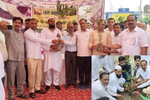 वन महोत्सव कार्यक्रम आयोजित कर पालिका प्रशासन ने किया पौधरोपण
