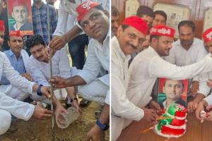 सपाइयों ने पौधरोपण कर मनाया अखिलेश यादव का जन्मदिन