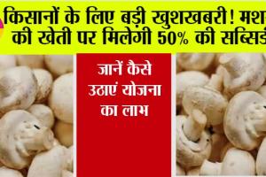 Kisan News: किसानों के लिए बड़ी खुशखबरी! मशरूम की खेती पर मिलेगी 50% की सब्सिडी, जानें कैसे उठाएं योजना का लाभ