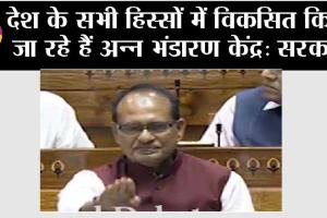 देश के सभी हिस्सों में विकसित किये जा रहे हैं अन्न भंडारण केंद्र: सरकार