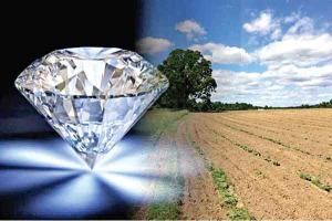 Farmer found a precious Diamond : किसान की खुली किस्मत, मिली ये बेशकीमती धातु!