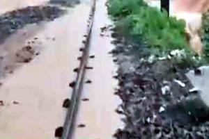 Heavy Rains: ऐलनाबाद के किसानों ने सुझबूझ ना दिखाई होती तो हो सकता था बड़ा हादसा!