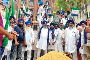 फसल की बेकद्री से परेशान किसानों ने अमृतसर की सड़कों पर बिखेरी बासमती