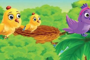 Bird’s Nest: चिड़िया का घोंसला