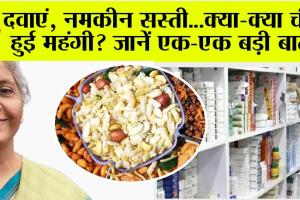 GST Council Decision: दवाएं, नमकीन सस्ती…क्या-क्या चीजें हुई महंगी? जानें एक-एक बड़ी बात