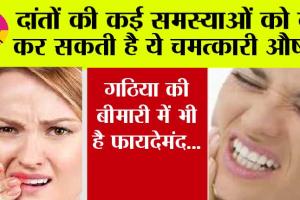 Health: दांतों की कई समस्याओं को दूर कर सकती है ये चमत्कारी औषधी, गठिया की बीमारी में भी है फायदेमंद…