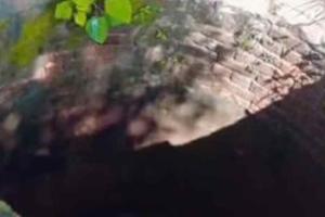 Viral News: रील बनाने का इस माँ पर ये कैसा भूत सवार? बच्चे की जान ही जोखिम में डाल दी!