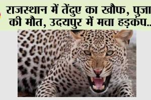 तेंदुए के हमले से पुजारी की मौत, अब तक हुई 6 मौतें, उदयपुर में मचा हड़कंप