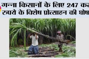 गन्ना किसानों के लिए 247 करोड़ रुपये के विशेष प्रोत्साहन की घोषणा