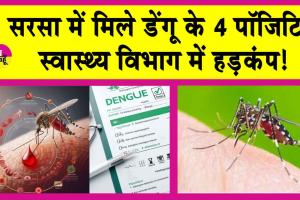 Dengue Positive: सरसा में डेंगू के चार पॉजिटिव मिलने से हड़कंप!