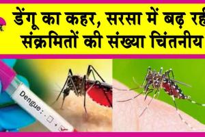 Dengue Cases: सिरसा में फ़ैल रहा डेंगू का दंश! बढ़ रहे हैं संक्रमित!