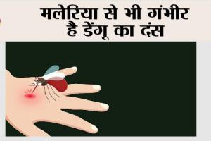 Dengue: मलेरिया से भी गंभीर है डेंगू का दंस