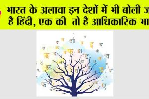Hindi Language: भारत के अलावा इन देशों में भी बोली जाती है हिंदी, एक की तो है आधिकारिक भाषा, पढ़े पूरी डिटेल