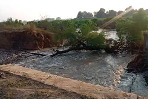 दो नहरें टूटने से सैकड़ों एकड़ भूमि जलमग्न