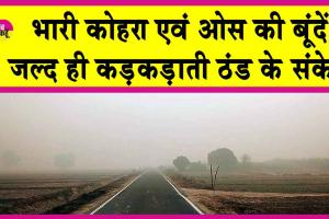 Rajasthan Weather: भारी कोहरा व ओस की बूंदे संकेत हैं! जल्द ही बढ़ने वाली कड़कड़ाती ठंड