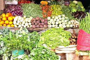 Agriculture News: ठेके पर जमीन लेकर मौसमी सब्जियां लगाकर कमा रहा है 10 लाख सालाना