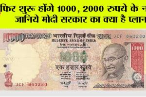 1000 Rupee Note: फिर शुरू होंगे 1000, 2000 रुपये के नोट? जानिये मोदी सरकार का क्या है प्लान